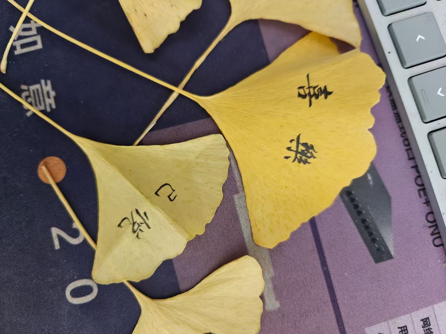 160903qtq1uc1fuutccz3c.jpg