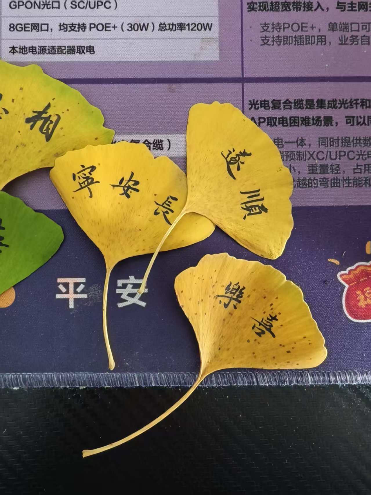 微信图片_20251020170507_60_77.jpg