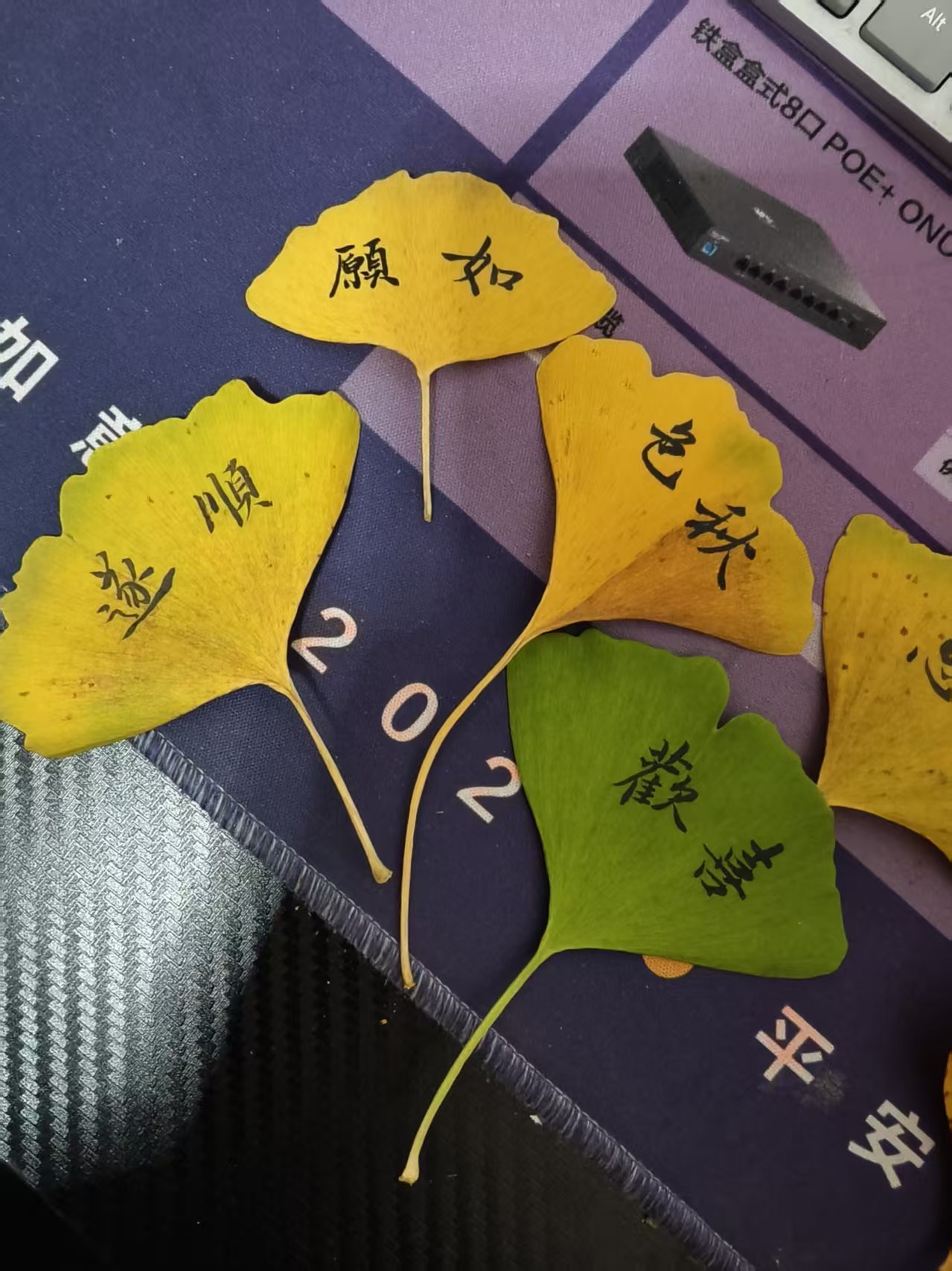微信图片_20251020170506_59_77.jpg